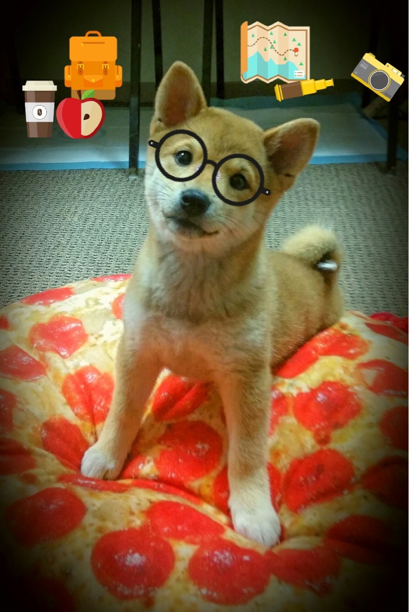 华体会下载-太阳升起时,保罗亲手撕碎浙江铁幕,当37岁的指挥官让防线成为废墟 第1张 华体会下载-太阳升起时,保罗亲手撕碎浙江铁幕,当37岁的指挥官让防线成为废墟 第1张